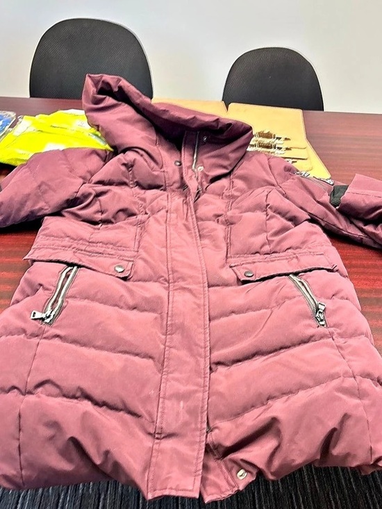 Alpine North Jackets & Blazers - Alpine North Kootney Vegan Down Mid-Length Parka Purple XL